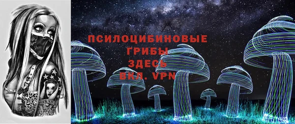 спайс Баксан