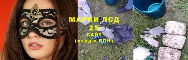 спайс Баксан