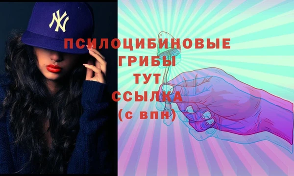 гашик Осинники