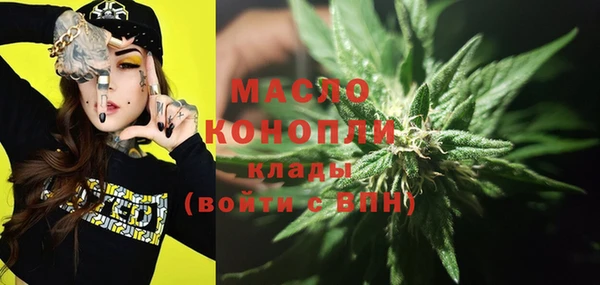 гашик Осинники
