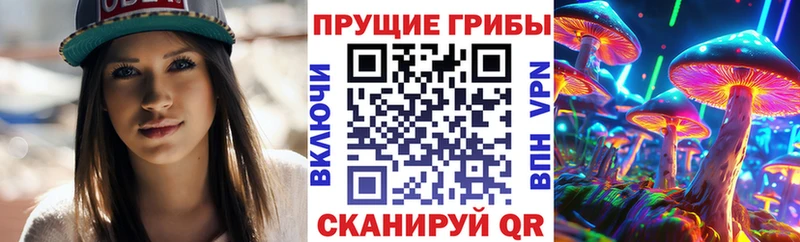 маркетплейс как зайти  Светлоград  Галлюциногенные грибы Psilocybine cubensis 